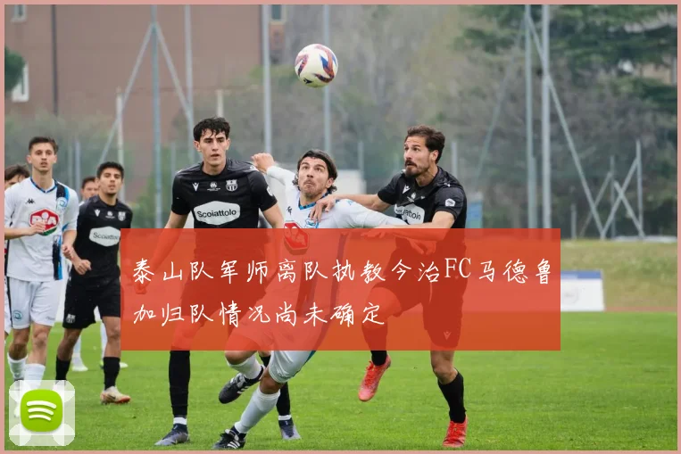 泰山队军师离队执教今治FC马德鲁加归队情况尚未确定